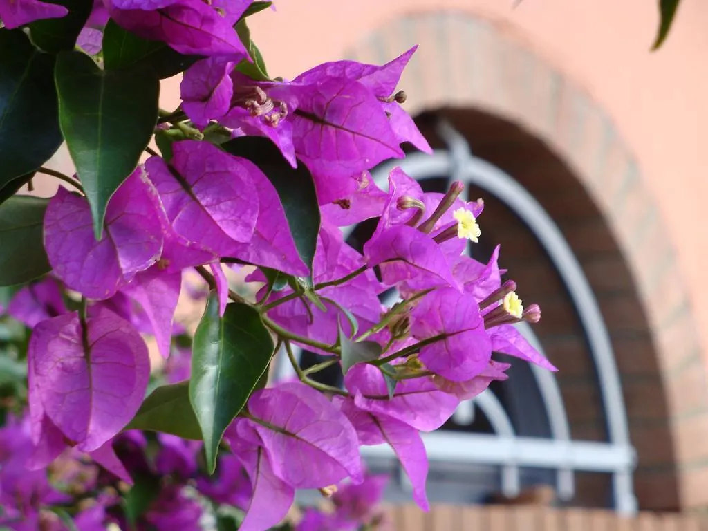 Farm stay Podere Villabassa Montespertoli